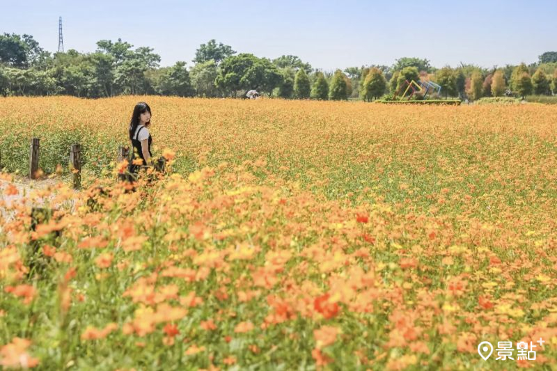 （圖／aday0530）