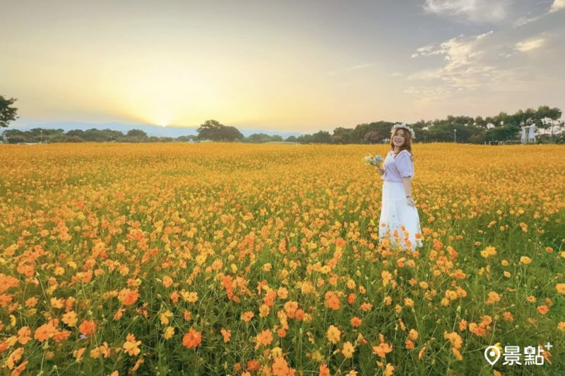 （圖／ariel_apple419）