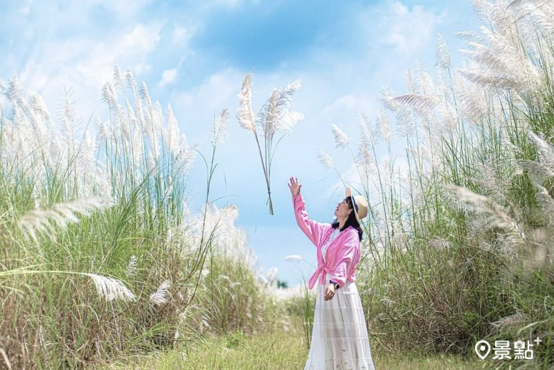 （圖／fang_01_01）