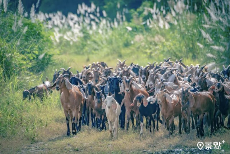 （圖／chen640527，以下同）