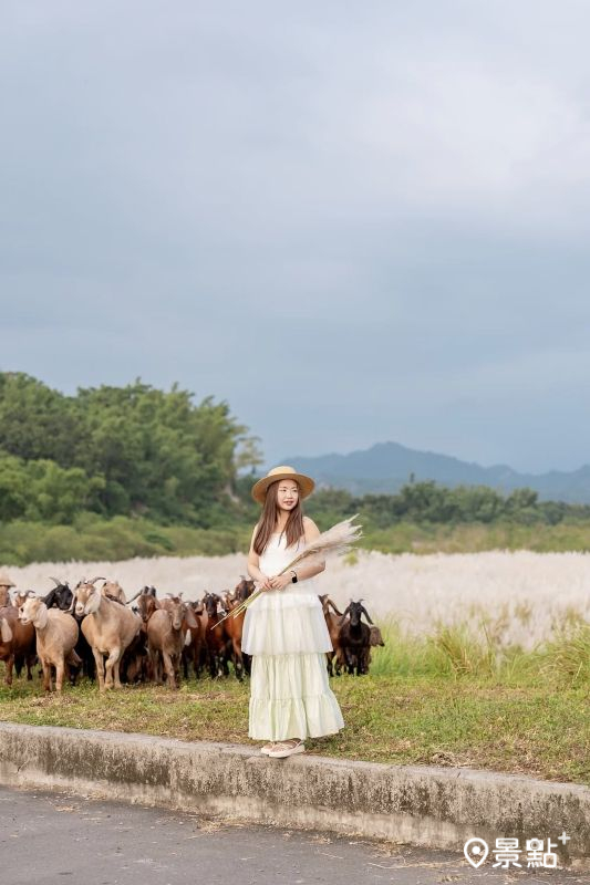 （圖／a836024，以下同）