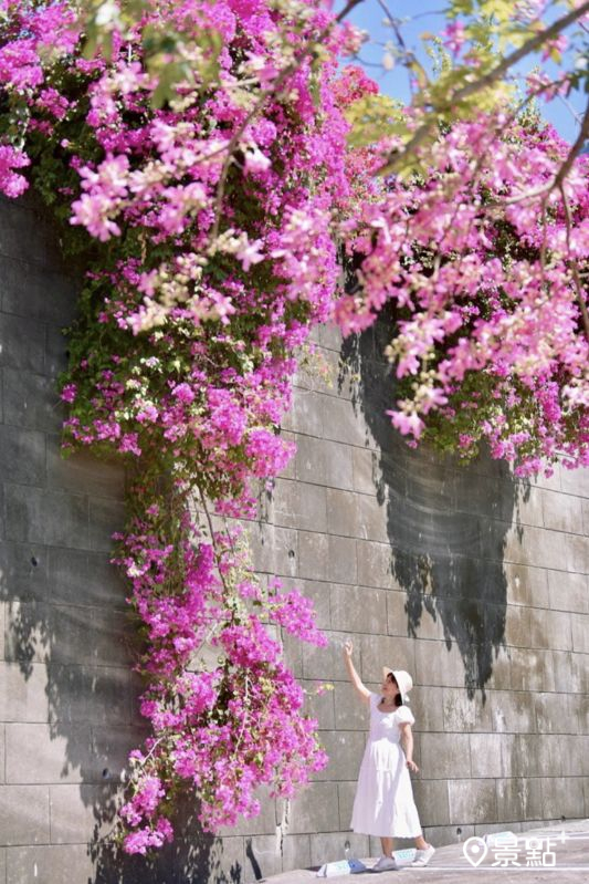 （圖／laiyuping9520，以下同）