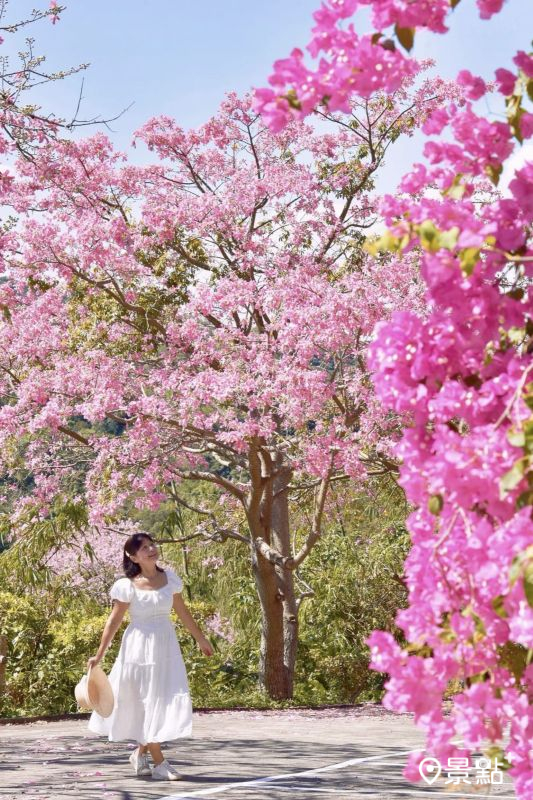 （圖／laiyuping9520）