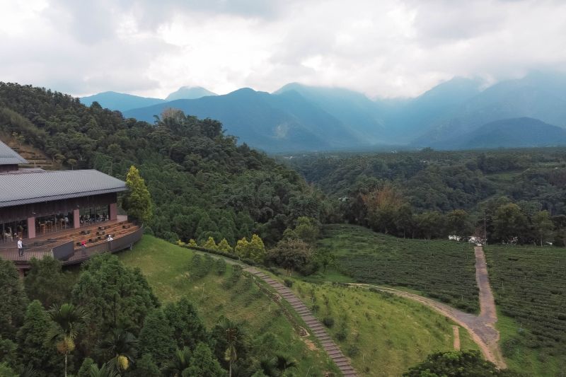 （圖／鹿篙咖啡莊園）