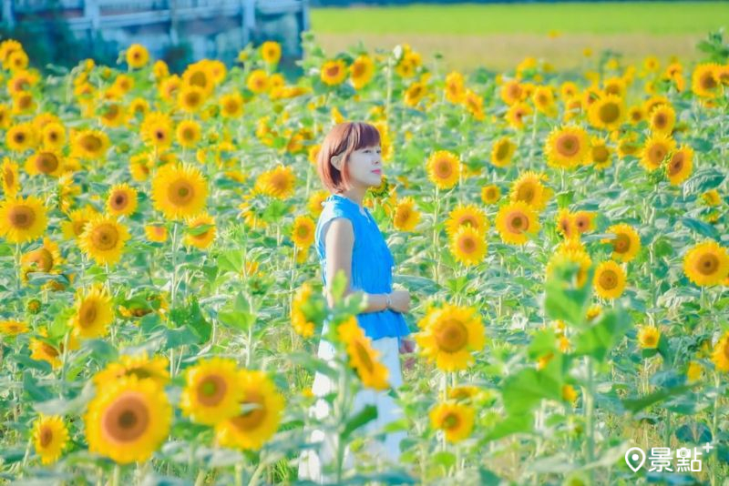 （圖／an700328，以下同）