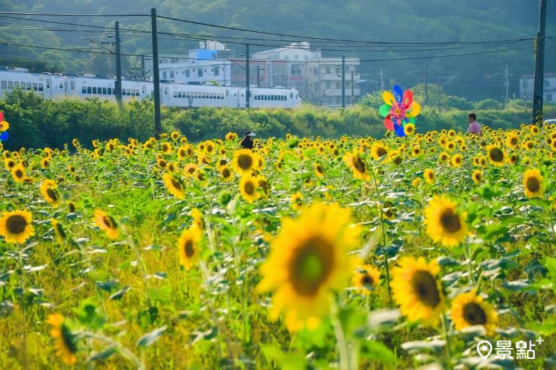 （圖／an700328）