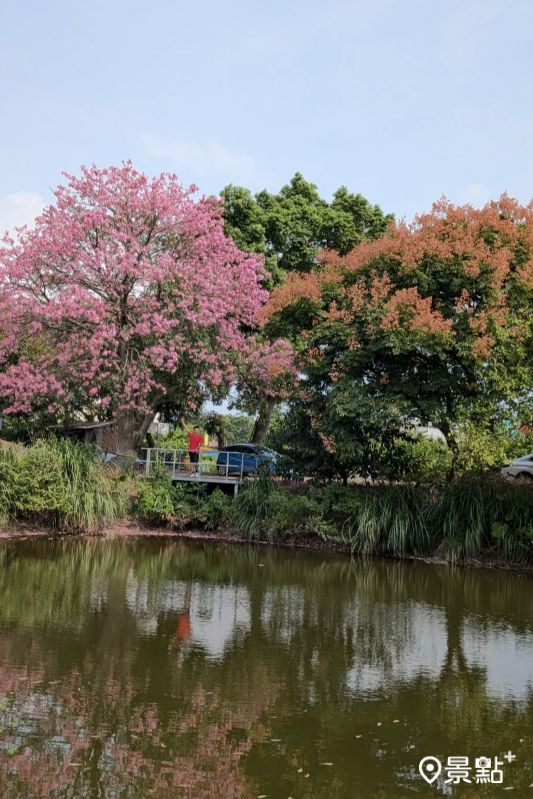 （圖／siouteng0822）