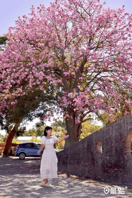 （圖／laiyuping9520，以下同）