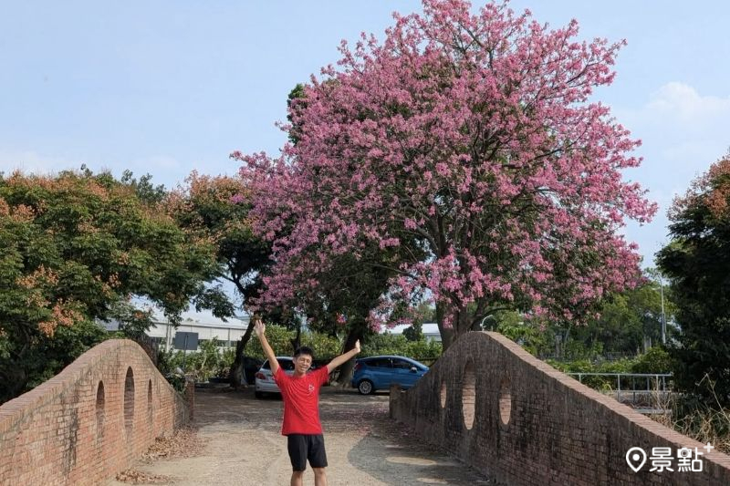 （圖／siouteng0822）