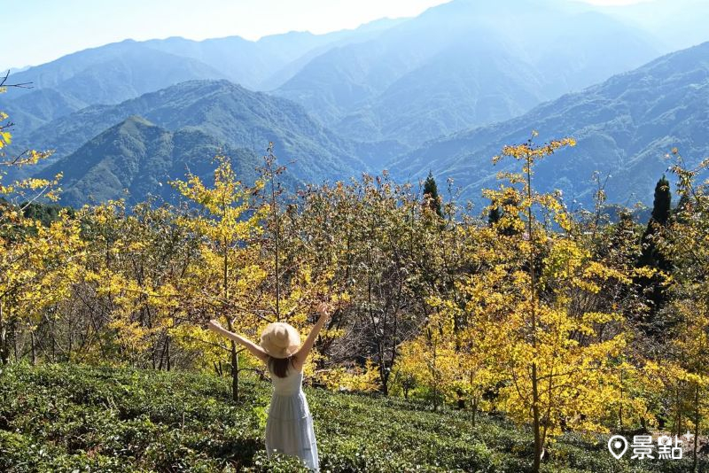 （圖／meow_hm_a1522c2418）