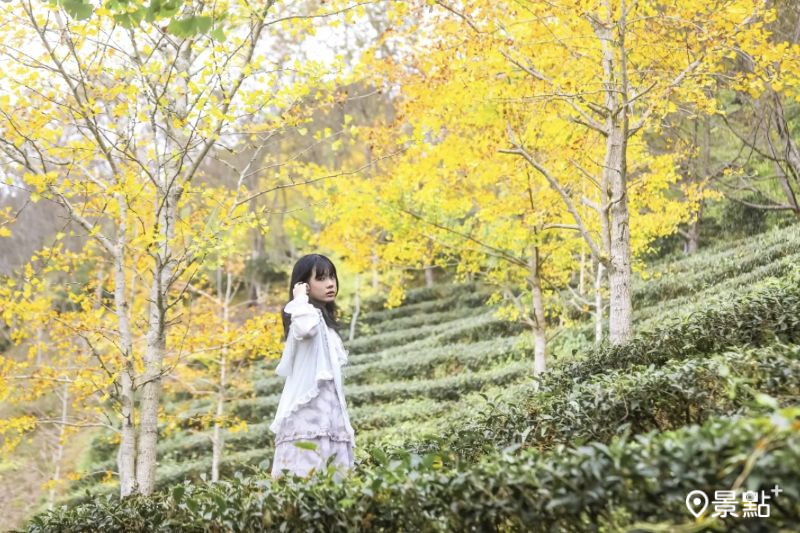 （圖／aday0530）