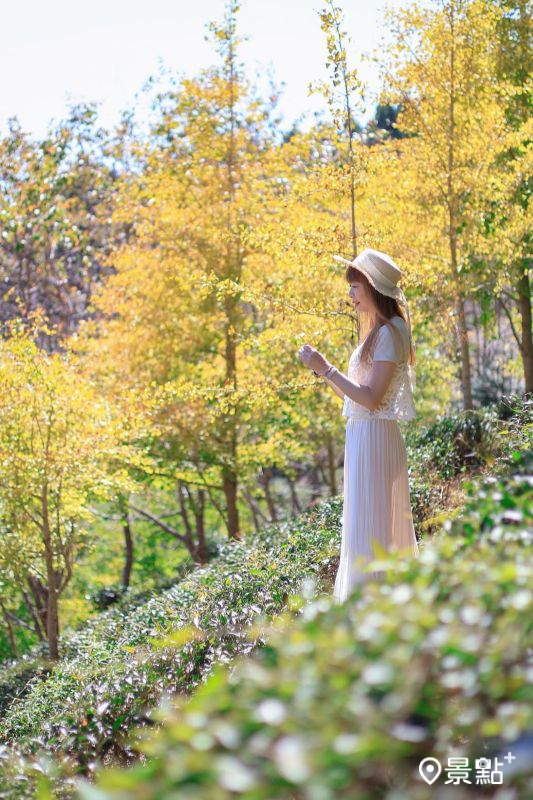 （圖／queena__0302）