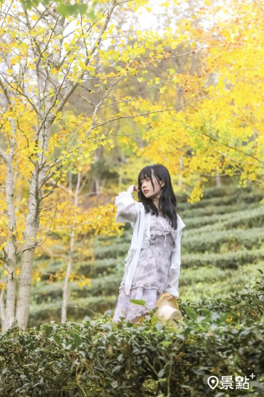 （圖／aday0530，以下同）