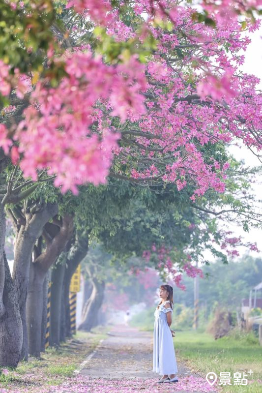 （圖／shih_hsuan6260）