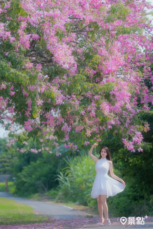 （圖／jian387，以下同）