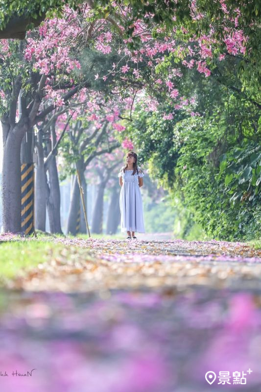 （圖／shih_hsuan6260，以下同）