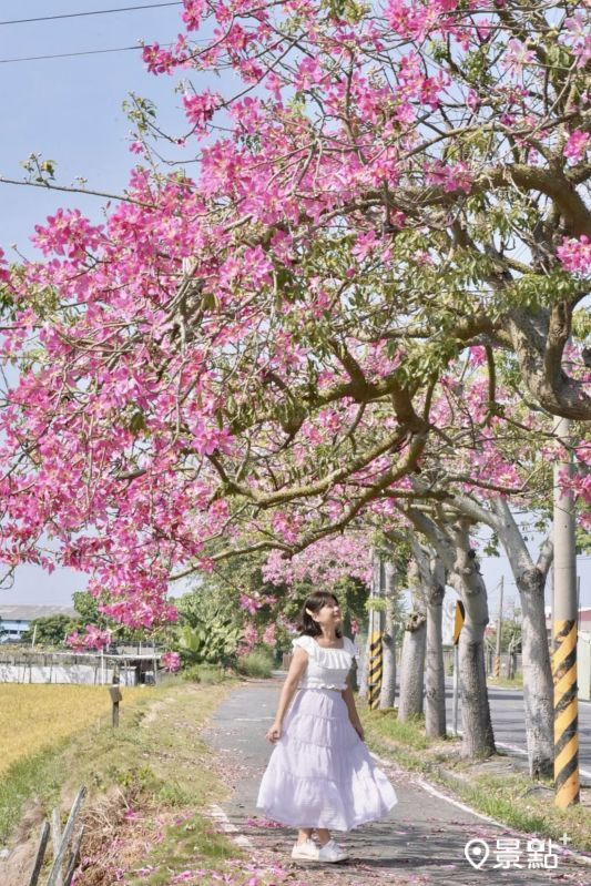 （圖／laiyuping9520）