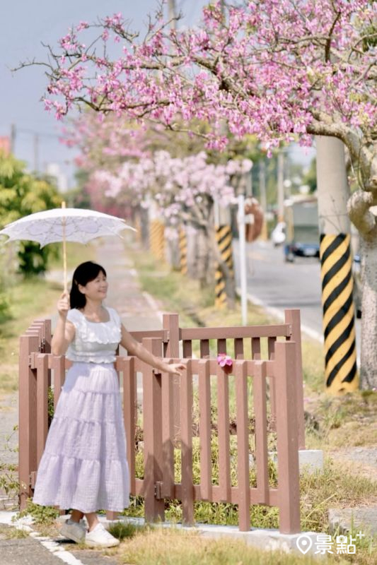 （圖／laiyuping9520）