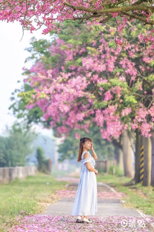 （圖／shih_hsuan6260）