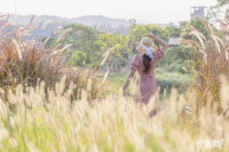 （圖／yijiun_lee）