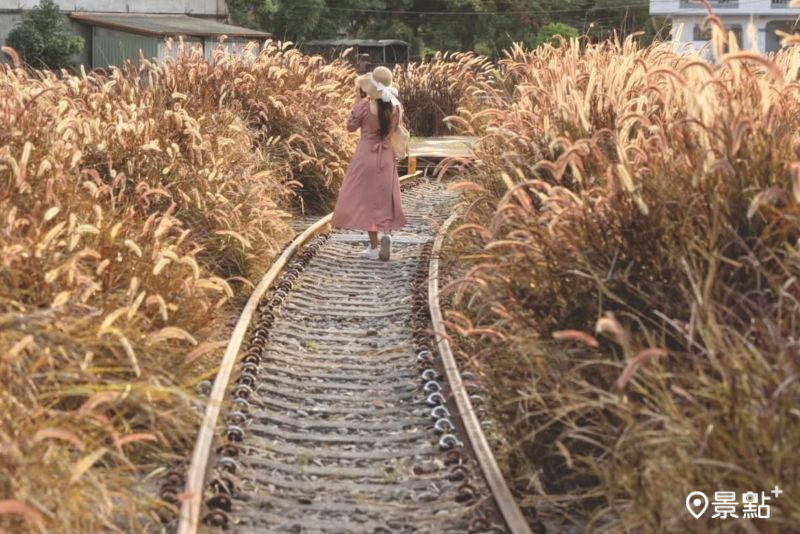 （圖／yijiun_lee，以下同）