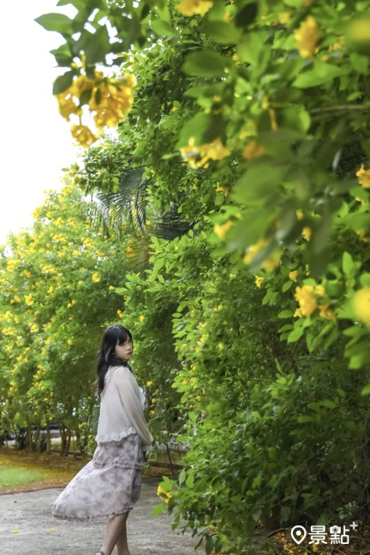 （圖／aday0530）