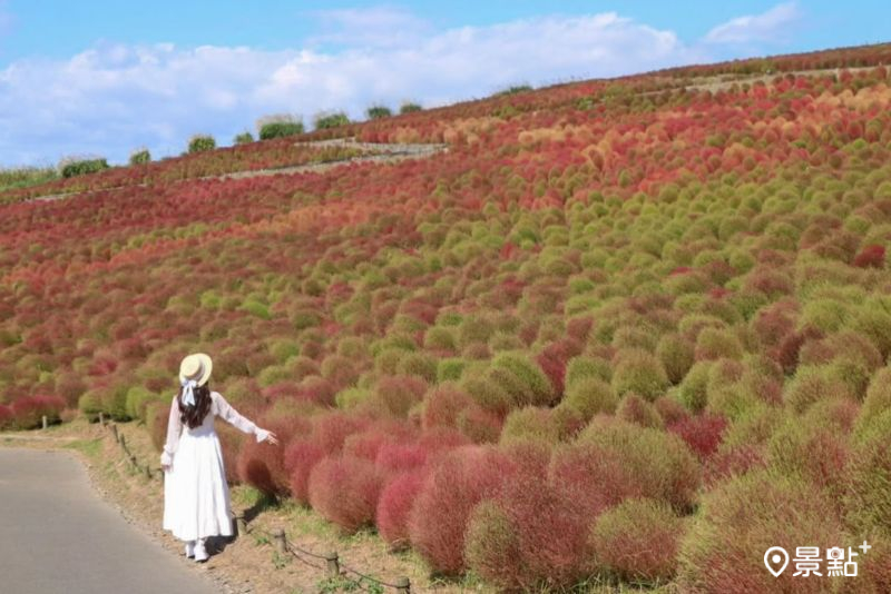 （圖／ducktravel_21，以下同）