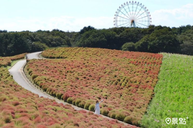 （圖／ducktravel_21）