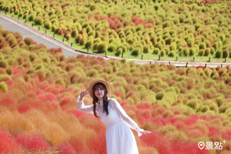 （圖／ducktravel_21，以下同）