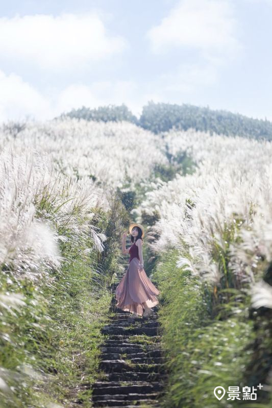 於2025年10月13日拍攝的大屯山芒草美景。（圖／pierrehuang，以下同）