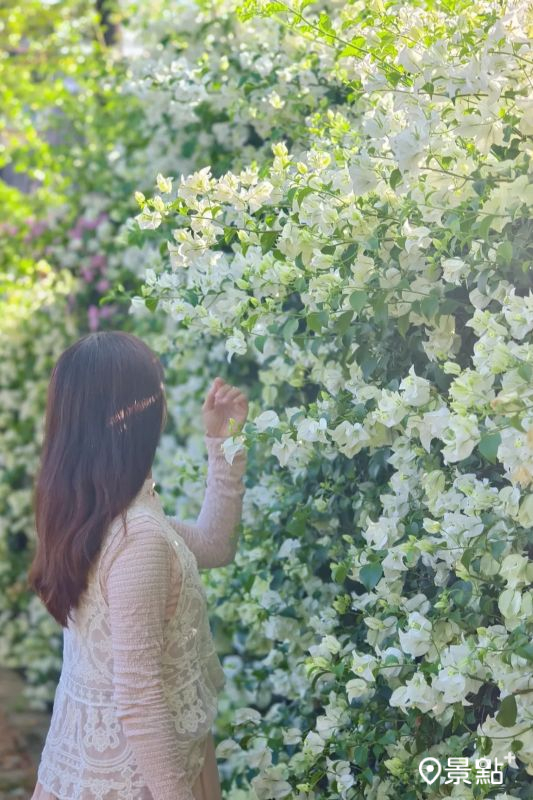 （圖／nikopapa9）