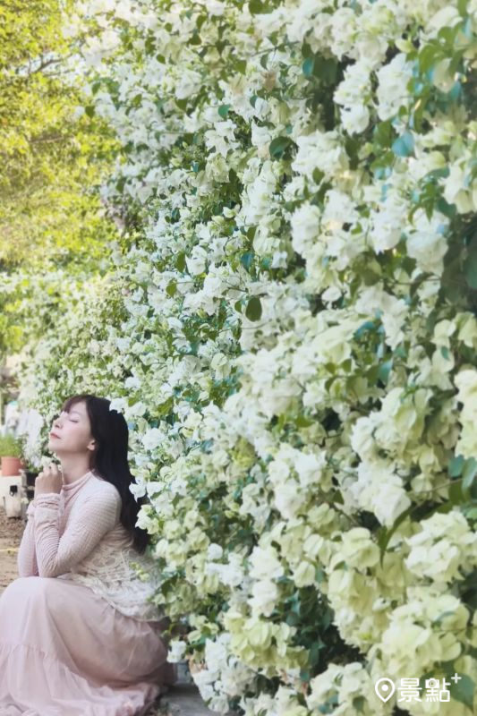 （圖／nikopapa9）