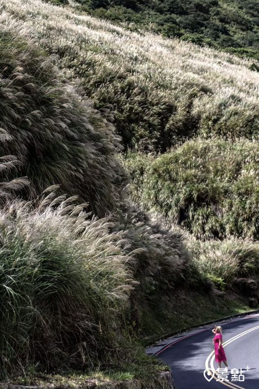 （圖／yijiun_lee，以下同）