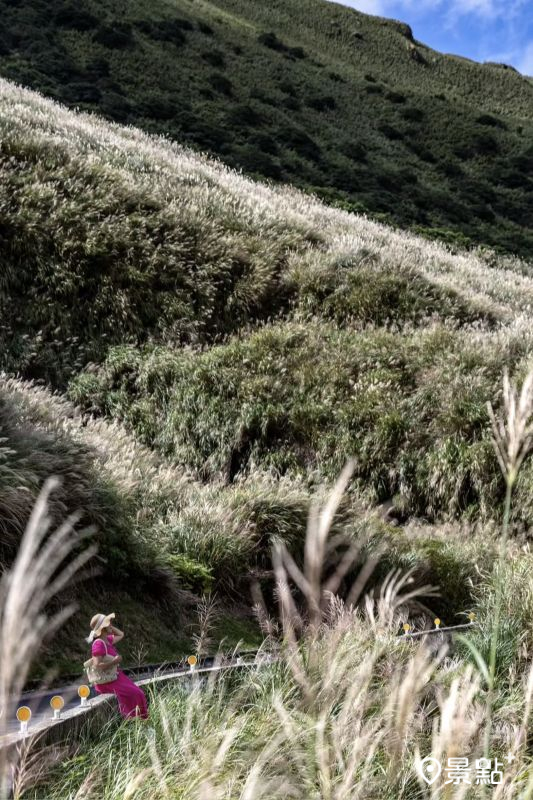 （圖／yijiun_lee，以下同）