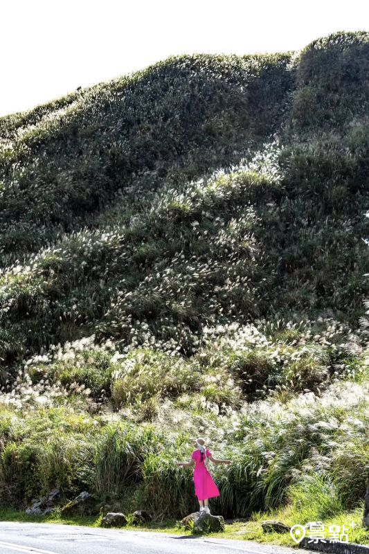 （圖／yijiun_lee）