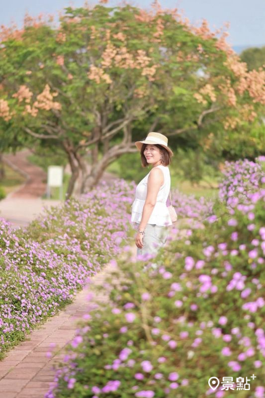 馬纓丹與轉紅的欒樹花景同框。（圖／karenfaith_chiang，以下同）