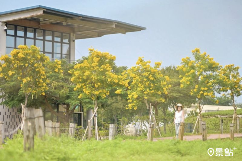 （圖／karenfaith_chiang）