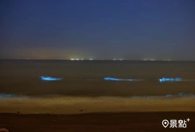 台南驚見藍眼淚連假人氣大爆發！台南人氣景點老街溫泉濱海市區都好玩活動懶人包