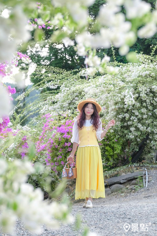 （圖／nelly.hong）