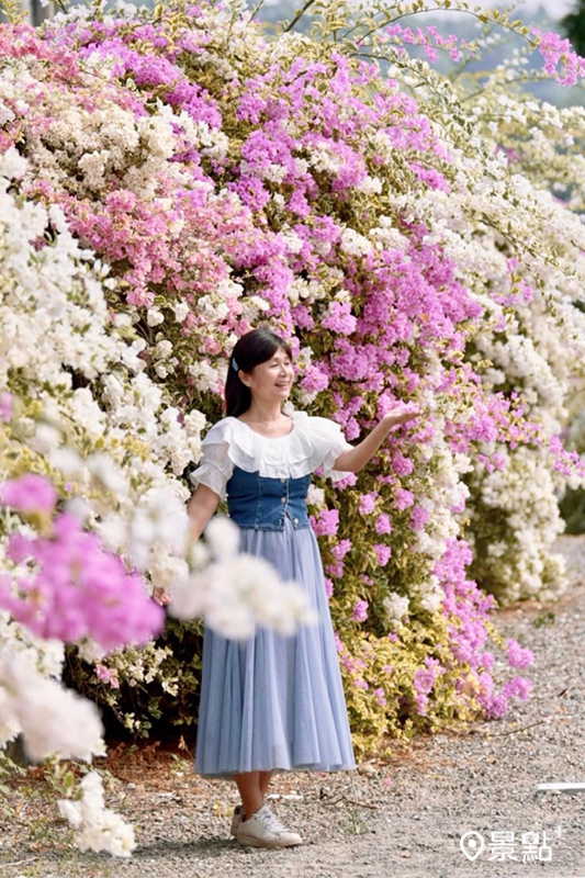 （圖／laiyuping9520，以下同）