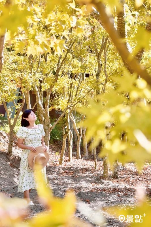 （圖／laiyuping9520）