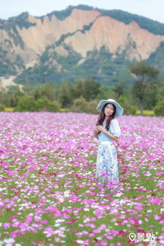 （圖／nelly.hong）