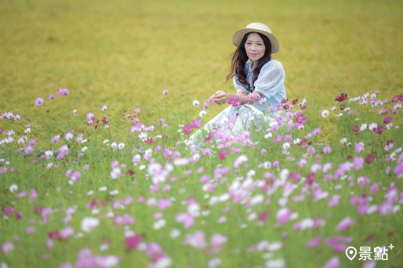 （圖／nelly.hong）