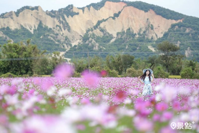 （圖／nelly.hong）