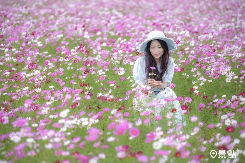 （圖／nelly.hong）