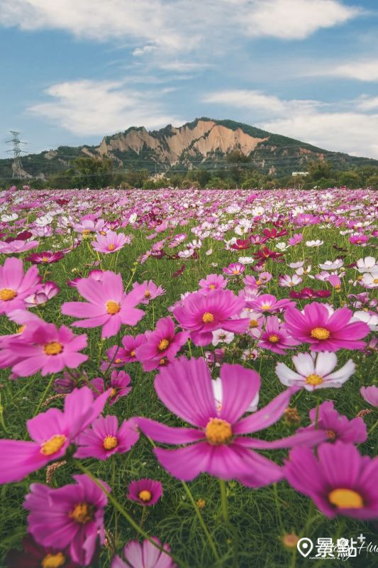 （圖／molly888666）