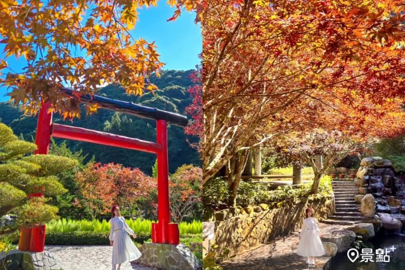 秒飛日本楓紅鳥居浪漫大景！銀杏林波波草同賞10大美拍範本