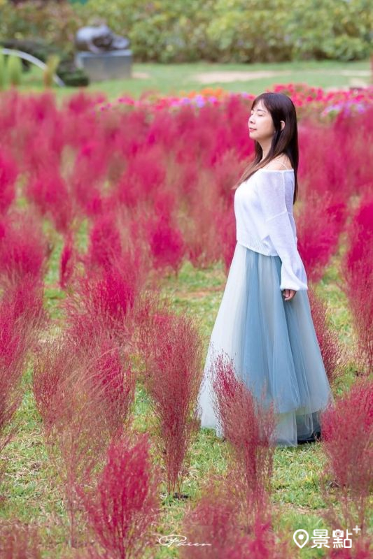 （圖／vitochuang、hsingfang20）