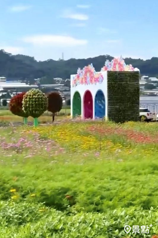 （圖／nanodoris_to.be）