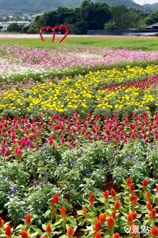 （圖／nanodoris_to.be）